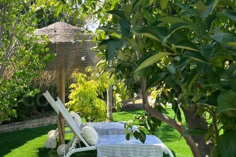 Māja pārdošanā Javea, Alicante, Spānijā 6 istabas, 250 m2 Nr. 160209 - attēls 24