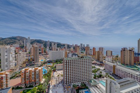 Apartment for sale Benidorm, Alicante, Spain 1 bedroom, 92 sq.m. No. 116745 - photo 20