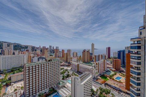 Apartment for sale Benidorm, Alicante, Spain 1 bedroom, 92 sq.m. No. 116745 - photo 9