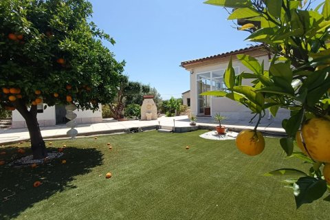 Finca zum Verkauf in Albatera, Alicante, Spanien 3 Schlafzimmer, 167 m2 Nr. 147437 - Foto 25