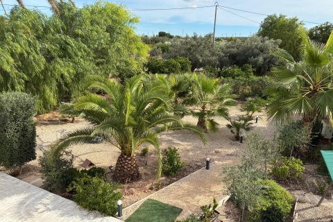 Villa pārdošanā Alicante, Spānijā 5 istabas, 180 m2 Nr. 168410 - attēls 30