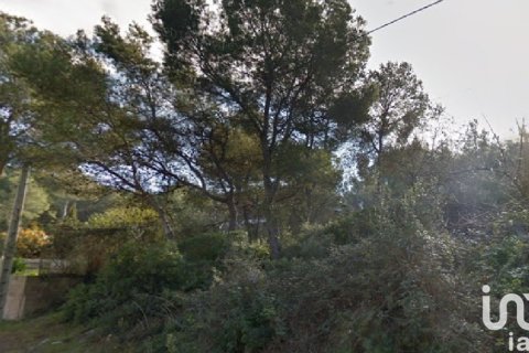 Parcela en venta en Canyelles, Barcelona, España 802 m2 No. 186157 - foto 4
