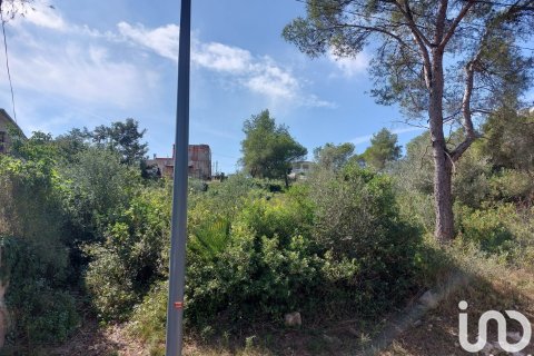 Parcela en venta en Canyelles, Barcelona, España 802 m2 No. 186157 - foto 3