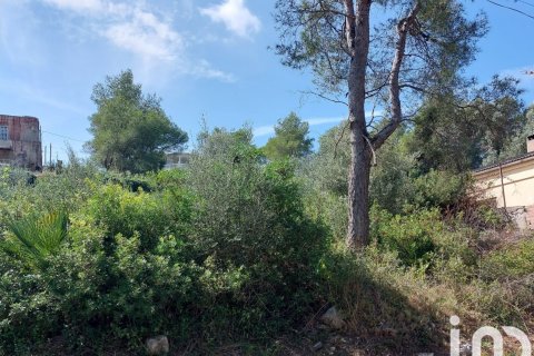 Terreno a Canyelles, Barcelona, Spagna 802 mq. N° 186157