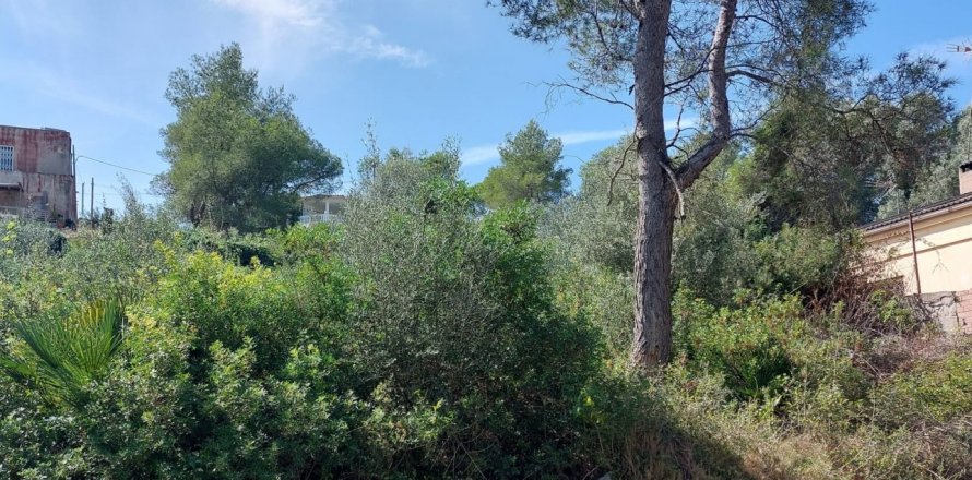 Parcela en Canyelles, Barcelona, España 802 m2 No. 186157