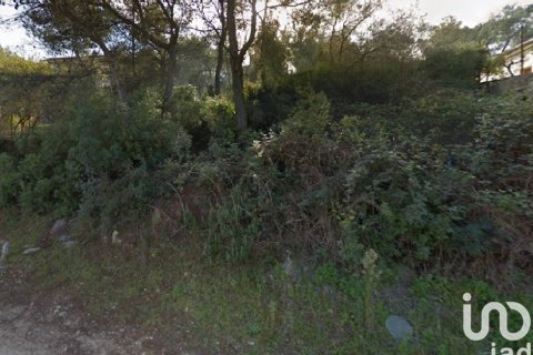 Parcela en venta en Canyelles, Barcelona, España 802 m2 No. 186157 - foto 5