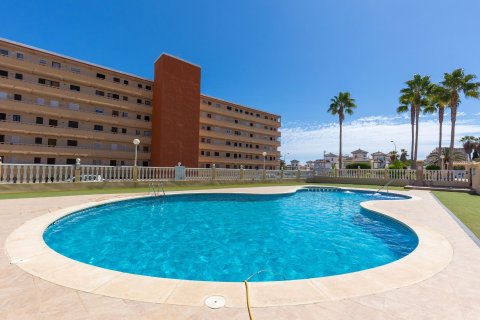 Villa for sale Torrevieja, Alicante, Spain 3 bedrooms,  No. 137769 - photo 20