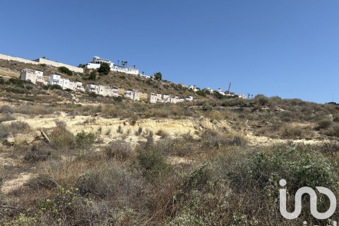 Terreno in vendita a Rojales, Alicante, Spagna 10517 mq. N° 153067 - foto 6