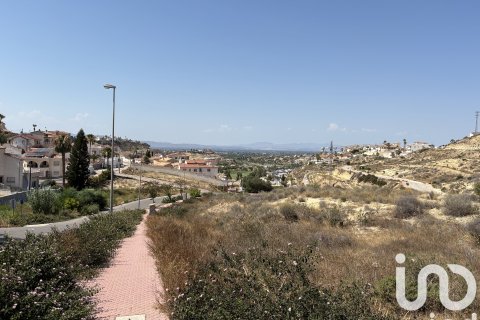 Terreno in vendita a Rojales, Alicante, Spagna 10517 mq. N° 153067 - foto 2