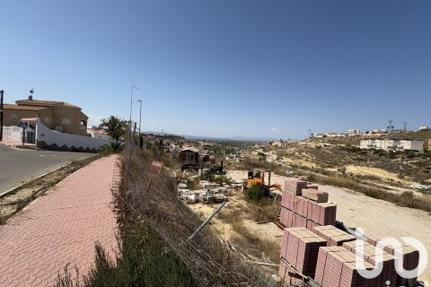 Terreno in vendita a Rojales, Alicante, Spagna 10517 mq. N° 153067 - foto 17