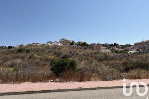 Terreno in vendita a Rojales, Alicante, Spagna 10517 mq. N° 153067 - foto 8