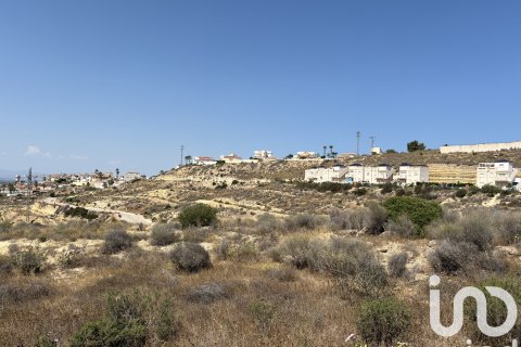 Terreno in vendita a Rojales, Alicante, Spagna 10517 mq. N° 153067 - foto 11