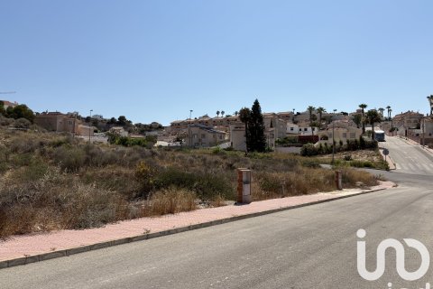 Terreno in vendita a Rojales, Alicante, Spagna 10517 mq. N° 153067 - foto 10