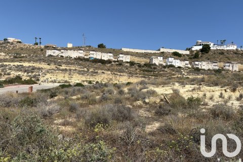 Land in Rojales, Alicante, Spanien 10517 m2 Nr. 153067