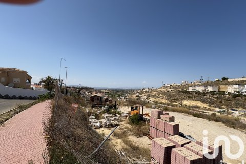 Terreno in vendita a Rojales, Alicante, Spagna 10517 mq. N° 153067 - foto 23
