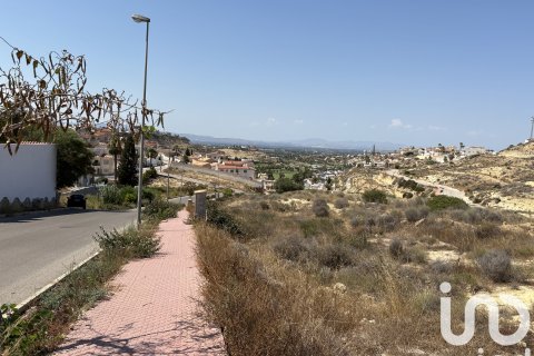 Terreno in vendita a Rojales, Alicante, Spagna 10517 mq. N° 153067 - foto 16