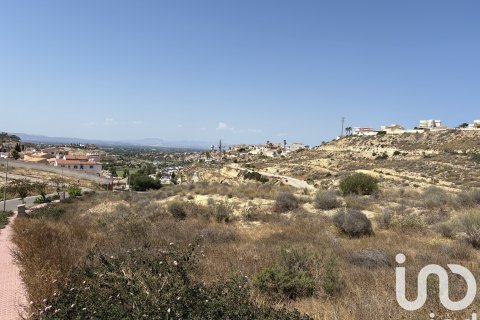 Terreno in vendita a Rojales, Alicante, Spagna 10517 mq. N° 153067 - foto 18