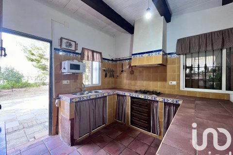 Продажа дома в Картая, Уэльва, Испания 4 спальни, 146м2 №153071 - фото 7