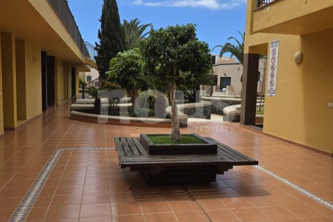 Dzīvoklis pārdošanā Costa del Silencio, Tenerife, Spānijā 2 istabas, 68 m2 Nr. 164845 - attēls 29