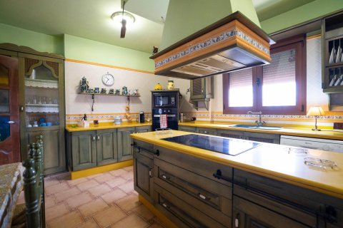 Commercial property for sale in San Miguel de Salinas, Alicante, Spain 468 sq.m. No. 168719 - photo 3
