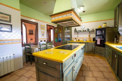 Commercial property for sale in San Miguel de Salinas, Alicante, Spain 468 sq.m. No. 168719 - photo 4