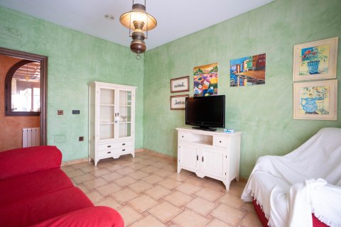 Commercial property for sale in San Miguel de Salinas, Alicante, Spain 468 sq.m. No. 168719 - photo 22