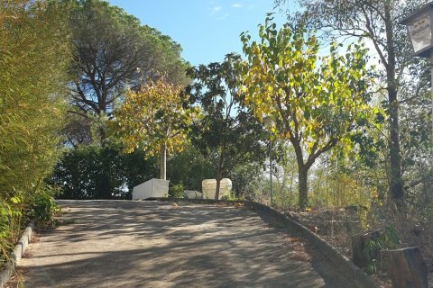 Сasa en venta en Macanet De La Selva, Gerona, España 5 dormitorios, 100 m2 No. 154202 - foto 21