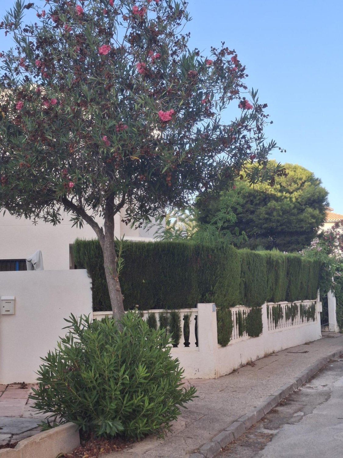 Penthouse w La Zenia, Alicante, Hiszpania 3 sypialnie, 86 mkw. nr 182803