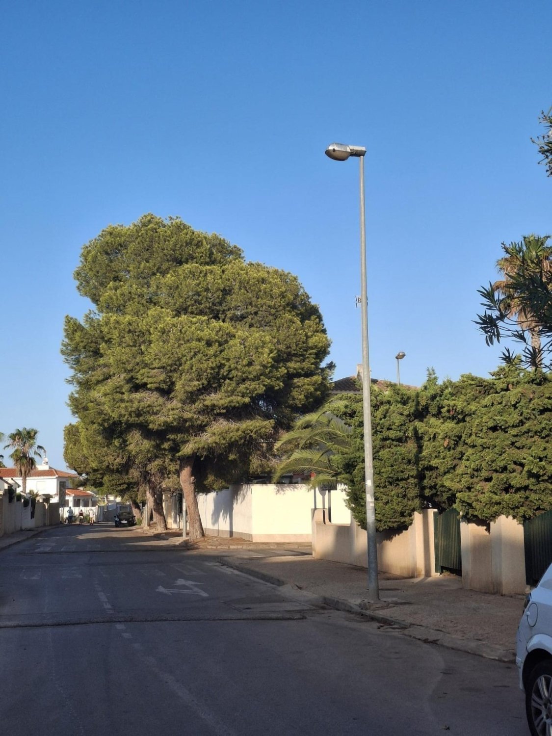 Penthouse w La Zenia, Alicante, Hiszpania 3 sypialnie, 86 mkw. nr 182803