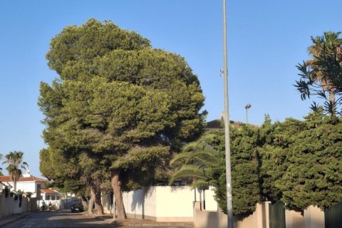 Penthäuser zum Verkauf in La Zenia, Alicante, Spanien 3 Schlafzimmer, 86 m2 Nr. 182803 - Foto 30