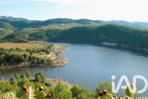 Tontti myytävänä Els Guiamets, Tarragona, Espanja , 88500 m2 No. 152453 - kuva 13