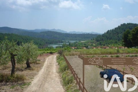 Tontti myytävänä Els Guiamets, Tarragona, Espanja , 88500 m2 No. 152453 - kuva 8