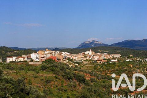 Tontti myytävänä Els Guiamets, Tarragona, Espanja , 13473 m2 No. 152452 - kuva 7