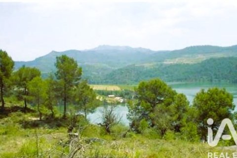 Tontti myytävänä Els Guiamets, Tarragona, Espanja , 13473 m2 No. 152452 - kuva 8