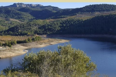 Tontti myytävänä Els Guiamets, Tarragona, Espanja , 13473 m2 No. 152452 - kuva 2