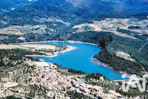 Tontti myytävänä Els Guiamets, Tarragona, Espanja , 13473 m2 No. 152452 - kuva 6