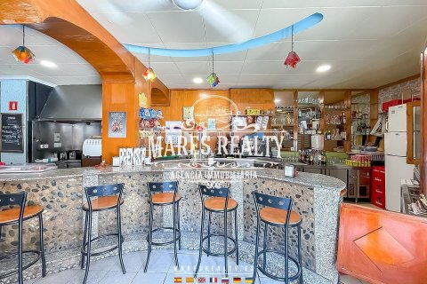 Commercial property for sale Pineda de Mar, Barcelona, Spain 200 sq.m. No. 113247 - photo 4