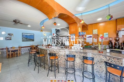 Commercial property for sale Pineda de Mar, Barcelona, Spain 200 sq.m. No. 113247 - photo 2