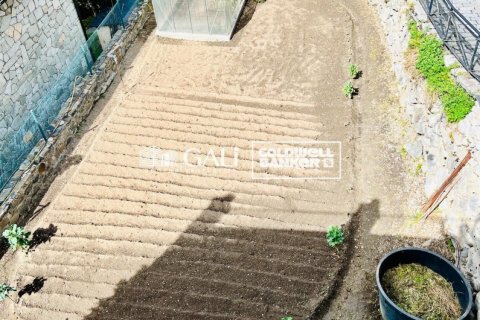 Huvila vuokrattavana Principado De Andorra (Ninguna Poblacion Tiene C.P.), Lleida, Espanja, 6 makuuhuonetta, 500 m2 No. 156715 - kuva 9