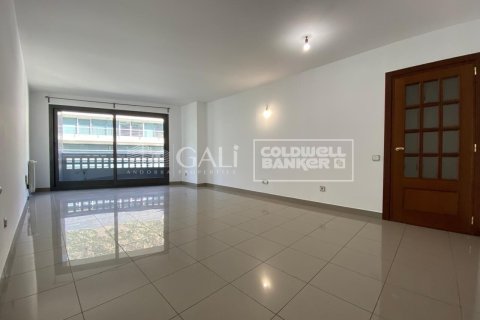 Wohnung zur Miete in Principado De Andorra (Ninguna Poblacion Tiene C.P.), Lleida, Spanien 3 Schlafzimmer, 99 m2 Nr. 156710 - Foto 2