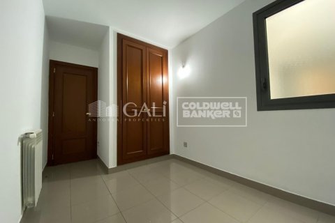 Wohnung zur Miete in Principado De Andorra (Ninguna Poblacion Tiene C.P.), Lleida, Spanien 3 Schlafzimmer, 99 m2 Nr. 156710 - Foto 14