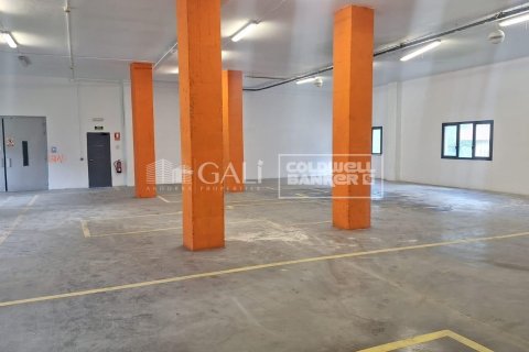 Liikekiinteistö vuokrattavana Principado De Andorra (Ninguna Poblacion Tiene C.P.), Lleida, Espanja , 2831 m2 No. 156711 - kuva 11