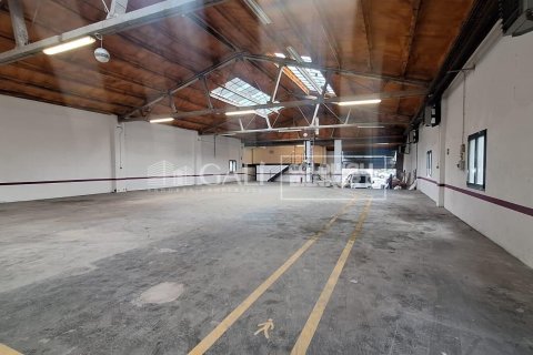 Liikekiinteistö vuokrattavana Principado De Andorra (Ninguna Poblacion Tiene C.P.), Lleida, Espanja , 2831 m2 No. 156711 - kuva 2