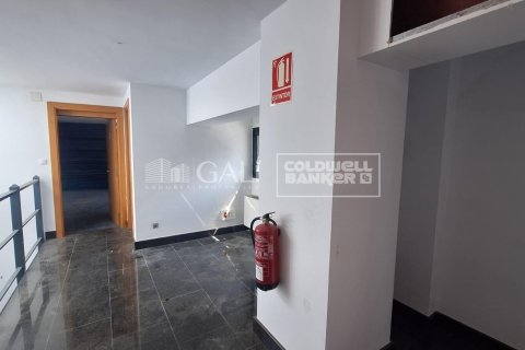Liikekiinteistö vuokrattavana Principado De Andorra (Ninguna Poblacion Tiene C.P.), Lleida, Espanja , 2831 m2 No. 156711 - kuva 23