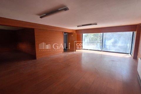 Liikekiinteistö vuokrattavana Principado De Andorra (Ninguna Poblacion Tiene C.P.), Lleida, Espanja , 2831 m2 No. 156711 - kuva 24