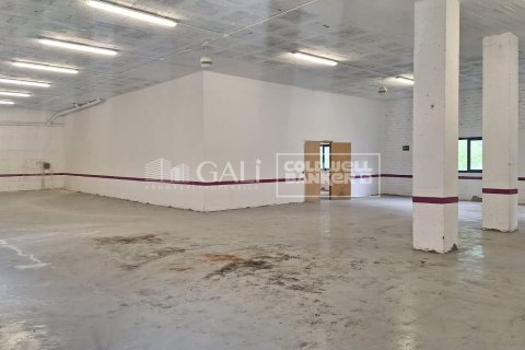 Liikekiinteistö vuokrattavana Principado De Andorra (Ninguna Poblacion Tiene C.P.), Lleida, Espanja , 2831 m2 No. 156711 - kuva 6
