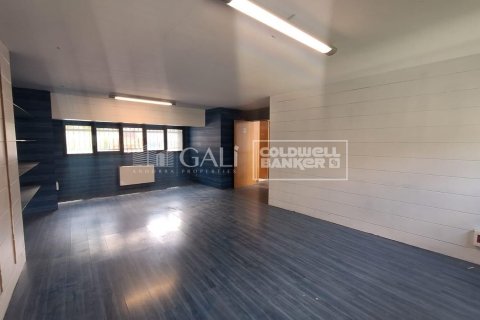 Liikekiinteistö vuokrattavana Principado De Andorra (Ninguna Poblacion Tiene C.P.), Lleida, Espanja , 2831 m2 No. 156711 - kuva 19