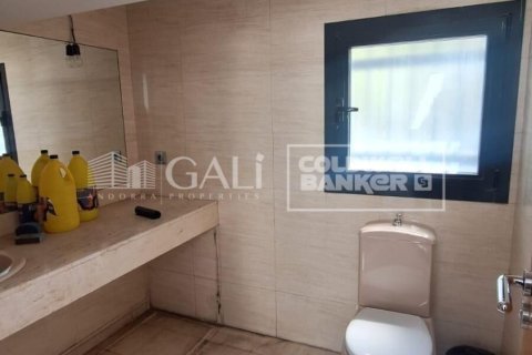 Liikekiinteistö vuokrattavana Principado De Andorra (Ninguna Poblacion Tiene C.P.), Lleida, Espanja , 2831 m2 No. 156711 - kuva 22