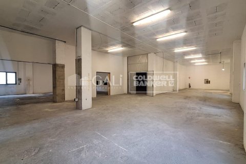 Liikekiinteistö vuokrattavana Principado De Andorra (Ninguna Poblacion Tiene C.P.), Lleida, Espanja , 2831 m2 No. 156711 - kuva 5