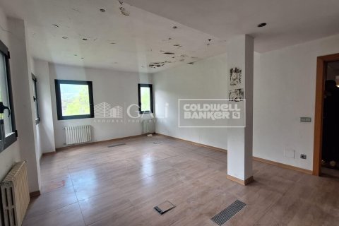 Liikekiinteistö vuokrattavana Principado De Andorra (Ninguna Poblacion Tiene C.P.), Lleida, Espanja , 2831 m2 No. 156711 - kuva 14